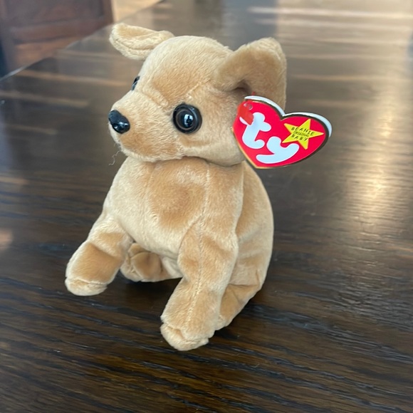 Beanie Babies Other - Tiny the Chihuahua 1999 Beanie Baby Mint Condition